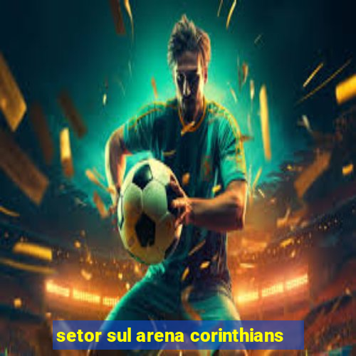 setor sul arena corinthians